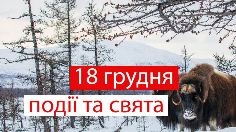 Сьогодні не можна мити голову та ходити в гості - прикмети 18 грудня