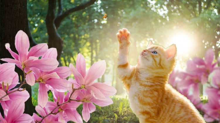 Весна бере своє: прогноз погоди у Кам'янському на межі березня та квітня