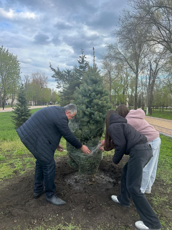 Сакури зацвітуть у П’ятихатках: громаду масово озеленюють молодими деревами