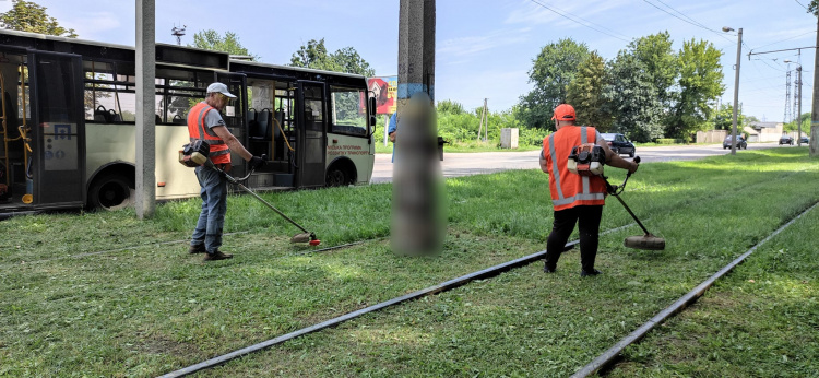 На трамвайних коліях Кам'янського боролися з травою: фотофакт