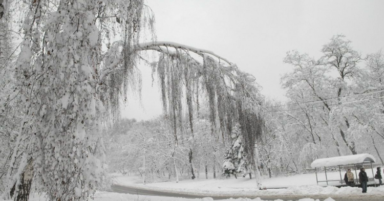 Вдарять люті морози: прогноз погоди в Україні на Новий рік і після свят