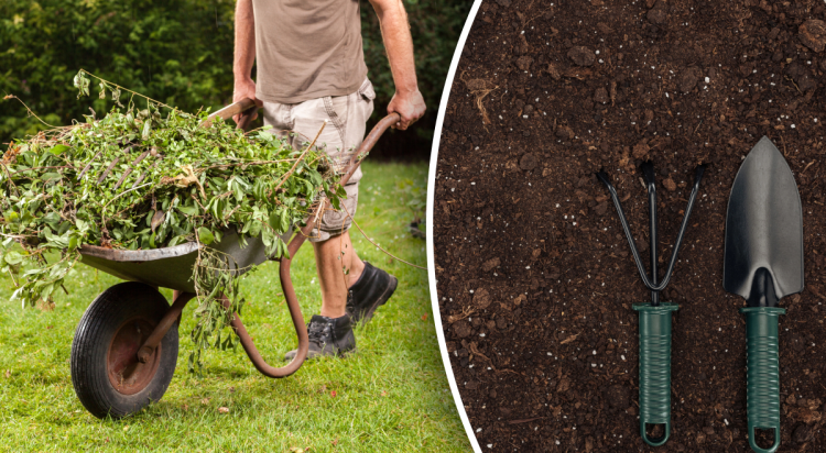 Як підготувати дачу до весни: повний чек-лист для дачників