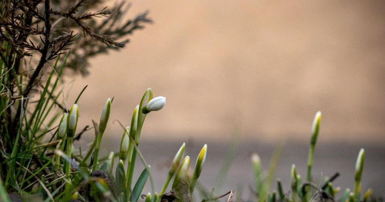 Від нічних заморозків до весняного тепла: синоптики дали прогноз у Кам'янському на 21-22 березня