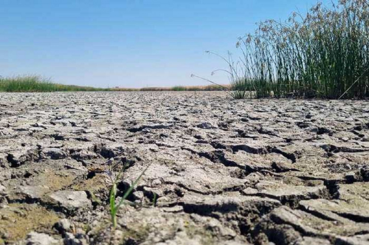 Екологічна катастрофа у Кам'янському районі: водойма перетворилася на сухе дно, мешканці б'ють на сполох