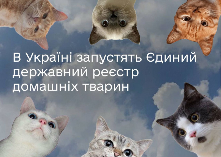 В Україні з’явиться Єдиний державний реєстр домашніх тварин - подробиці