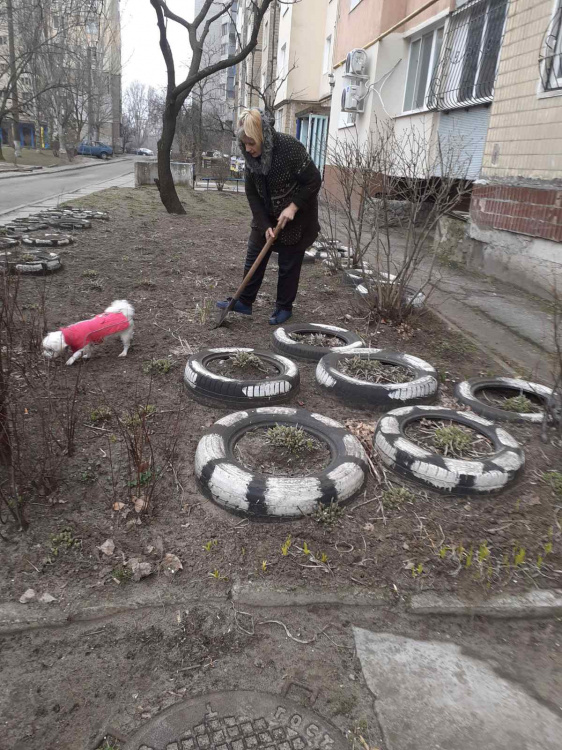 Кам'янське - місто небайдужих людей: мешканці наводять лад на прибудинкових територіях