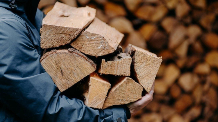 Онлайн-шахрайство на Дніпропетровщині: викрито злочинну схему з продажу дров на 300 тисяч гривень