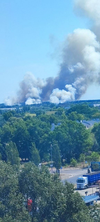 Пекло між Кам’янським і Єлизаветівкою: вогонь пожирає ліс, дим видно за кілометри