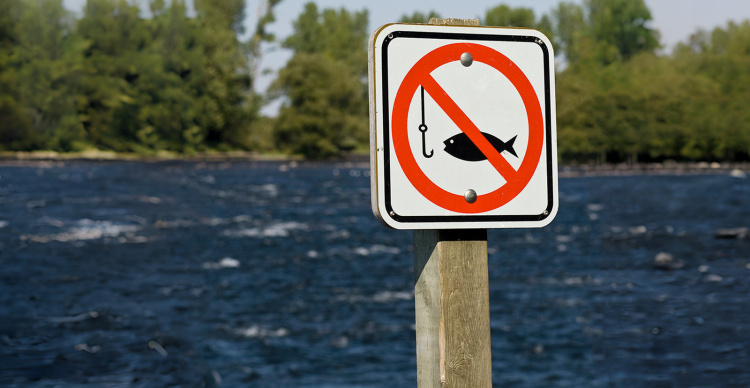 На Кам’янському водосховищі стартує нерестова заборона: де не можна рибалити