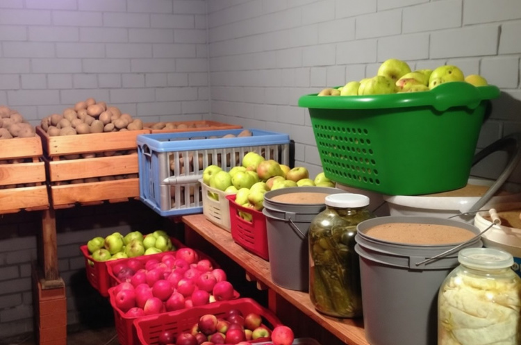 Як позбутися вогкості в льоху за допомогою бюджетних способів - рекомендації від агрономів