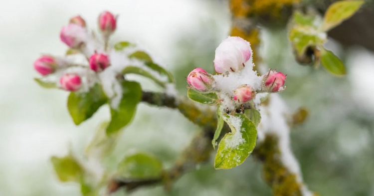 Арктичне похолодання насувається на Україну: якою буде погода в Кам'янському 24-25 квітня