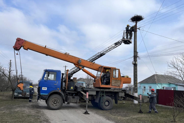 На Дніпропетровщині енергетики допомогли зберегти на електроопорі гніздо лелек - подробиці