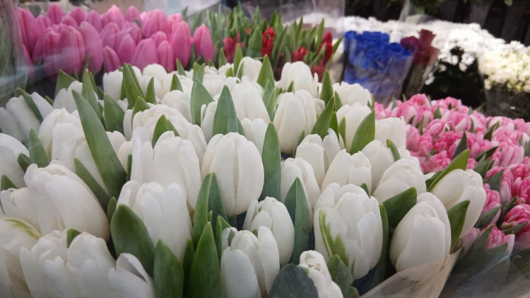 Весна у місті: оприлюднено перелік адрес квіткових ярмарків у Кам’янському