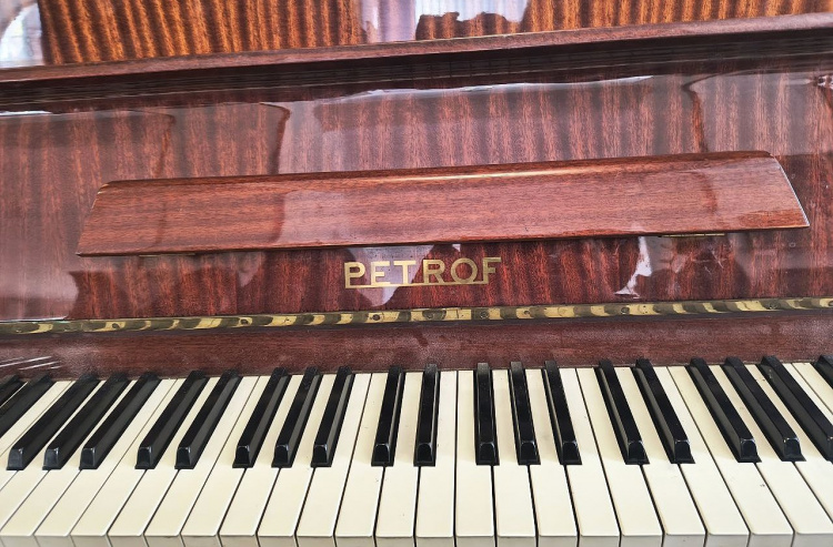 У Кам'янському "оселилося" піаніно старовинного європейського бренду: як звучить справжній PETROF