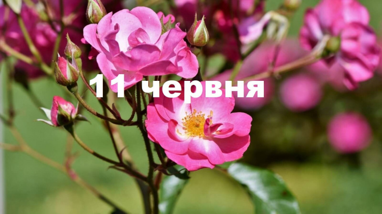 Сьогодні заборонено сваритися - традиції та прикмети 11 червня