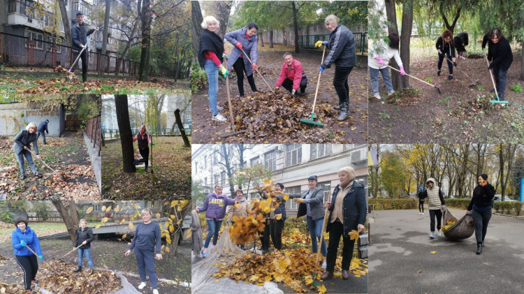 У Кам'янському розпочалась осіння толока - фото