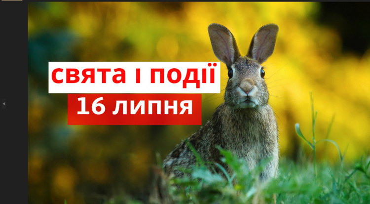 Сьогодні не можна рубати дрова чи полювати - традиції та прикмети 16 липня
