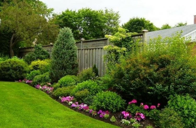 Що посадити у квітні біля паркану: секрети ідеального зеленого куточка
