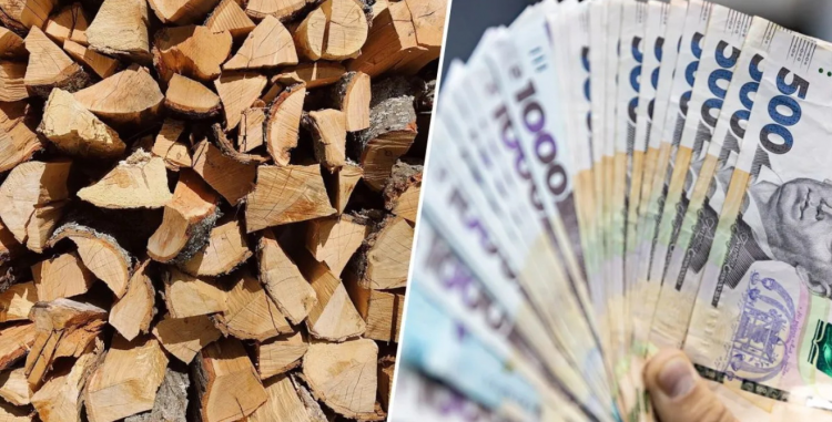 Зимова допомога: хто з українців отримає 8000 грн на тверде паливо