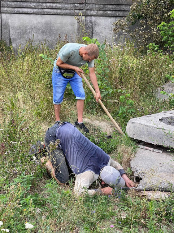 У Кам'янському врятували мешканців від агресивної зграї собак - фото