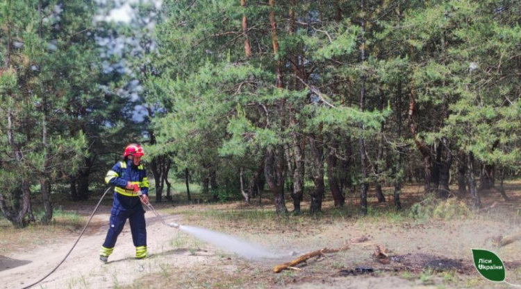 На Дніпропетровщині для захисту лісів від пожеж створять дві тисячі кілометрів мінералізованих смуг