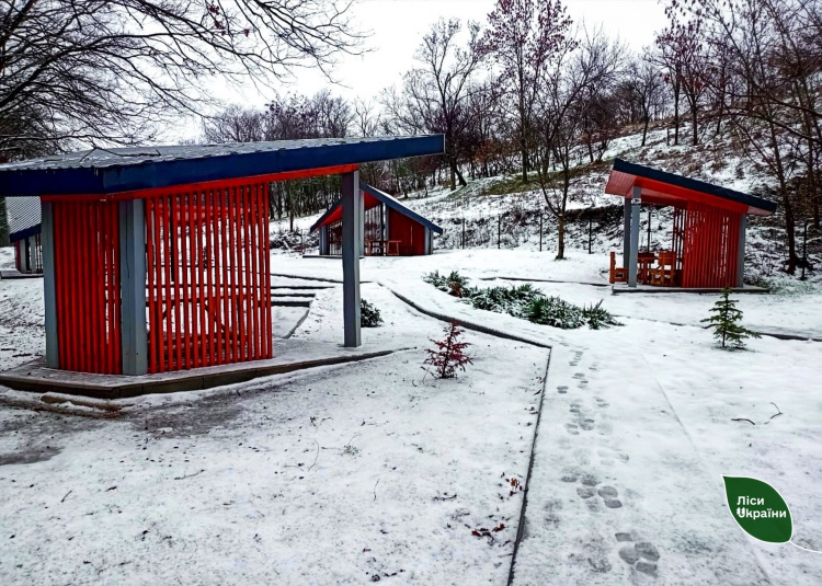 Ліс, комфорт і казкові краєвиди: біля Кам’янського відкрили унікальну безкоштовну зону відпочинку - подробиці