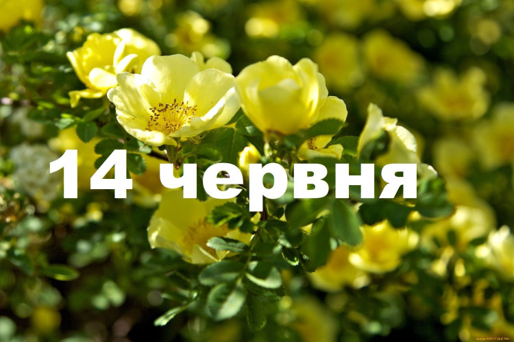 Сьогодні не варто лінуватися і не можна вживати алкоголь: традиції та прикмети 14 червня