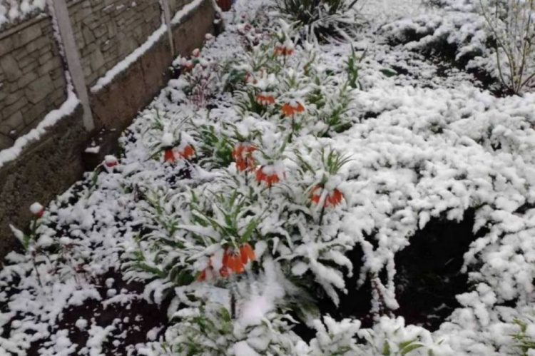 Квітнева аномалія на Дніпропетровщині: регіон засипало снігом після штормового попередження (ФОТО)