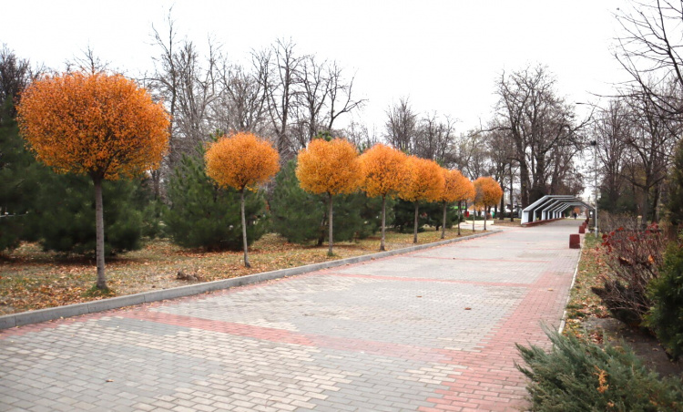 Погода на вихідних 15-16 листопада: синоптики розповіли, чи вдарять заморозки у Кам'янському