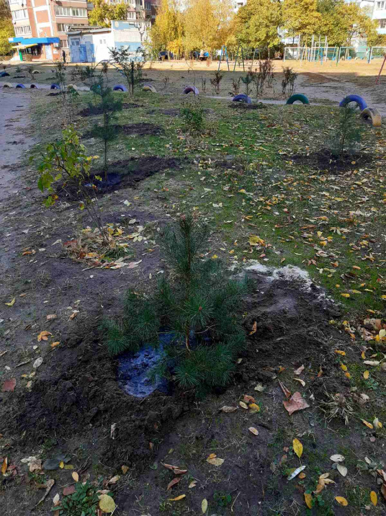 Спільними зусиллями до чистоти: мешканці Кам'янського активно взялися за впорядкування міста