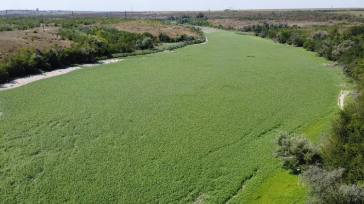 Дніпропетровщині критично необхідна відбудова Каховської ГЕС