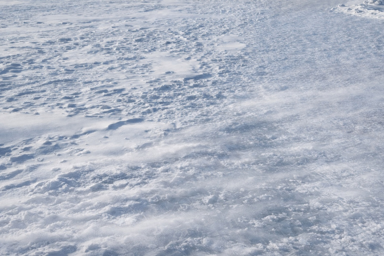 Сніг, що «біжить» по воді: на Дніпропетровщині зафіксували рідкісну зимову поземку