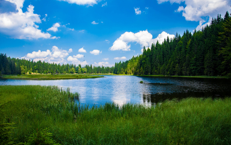 Забруднення води на Дніпропетровщині: еколог розповів, наскільки серйозна проблема і чому