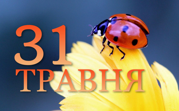 31 травня все про цей день
