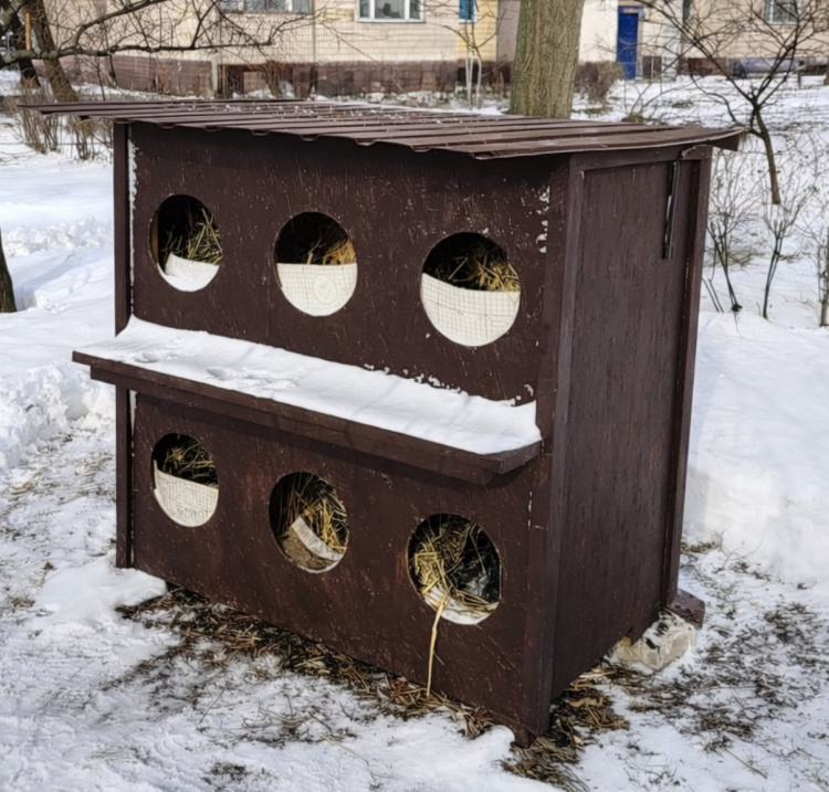 У Кам’янському з’явився перший «котоготель»: приклад небайдужості мешканців