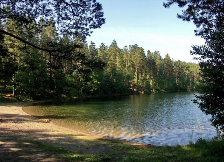 Загадка найглибших озер Дніпропетровщини: чому вода в них має аномальну температуру