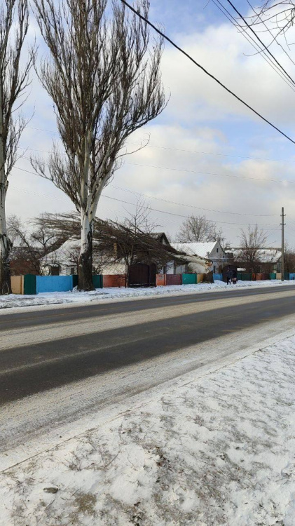 У Кам’янському через вітер дерево впало на будинок - фотофакт