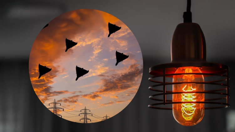 Енергетичний лабіринт Дніпропетровщини 29 листопада: як вижити без світла за новим графіком