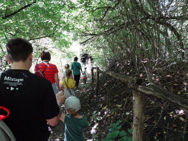 Вперше прокладено пішохідний маршрут Самишиною балкою у Кам’янському