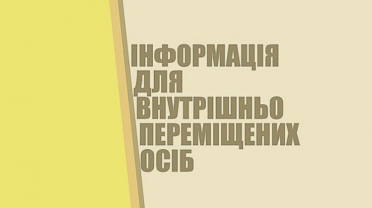 Переселенців Кам’янського запрошують на онлайн вебінар щодо питань грошової допомоги на проживання: як приєднатися