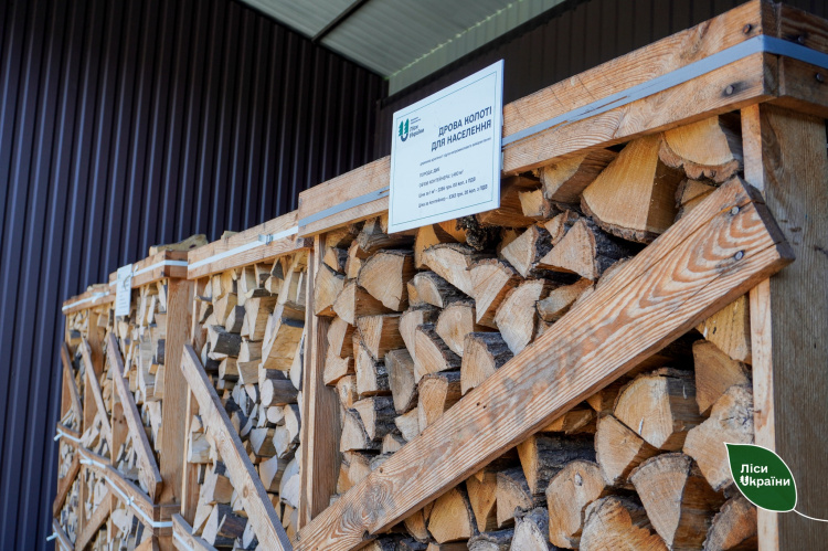 Таких цін ще не було: деякі види дров можуть здорожчати на 25% вже цієї зими