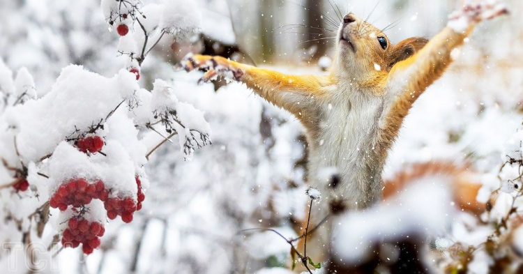 Температурні гойдалки та крижаний вітер: прогноз погоди у Кам'янському на 24-25 січня