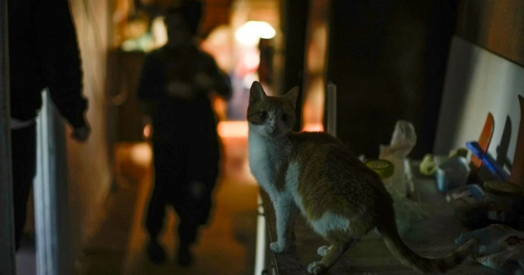 Зміни у графіках та ситуація в мережі: як вимикатимуть світло на Дніпропетровщині 11 березня