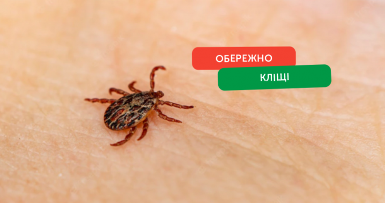 Сезон полювання на людей відкритий: Держпродспоживслужба попереджає про пік активності кліщів на Дніпропетровщині у березні 2026 року