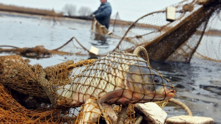 Під час літньої заборони на вилов риби браконьєри Дніпропетровщини завдали збитків на понад три мильонів гривень - подробиці