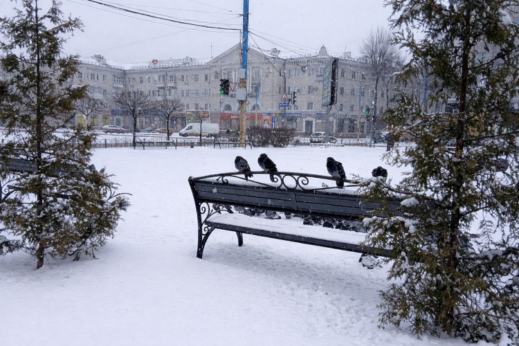 Хуртовини, тумани та ожеледиця: чим дивував січень жителів Дніпропетровщини
