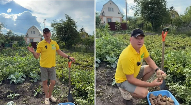 Що обов'язково потрібно зробити на грядках у серпні, щоб земля відпочила і дала подвійний врожай наступного року