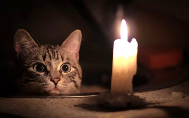 У Кам'янському 25 лютого вимикатимуть світло: графік та адреси відключень