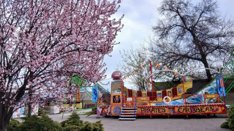 Весняна симфонія кольорів: як змінюється Центральний парк Кам’янського у квітні