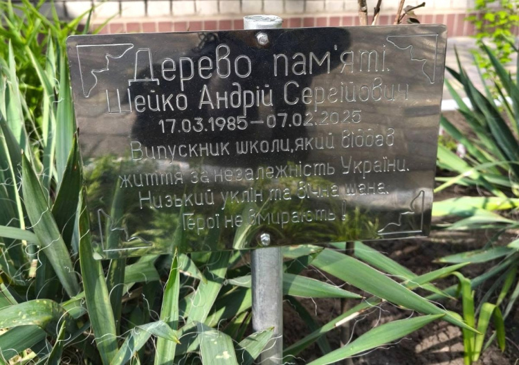 У Кам’янському висадили сакури на честь полеглого Героя